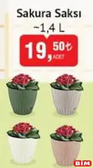 HOBBY LİFE SAKURA SAKSI 1,4 L
